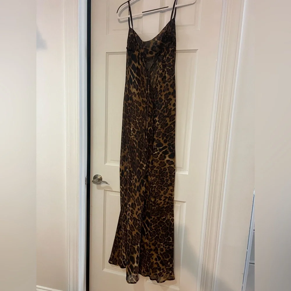 Leopard Print Sheer Maxi Dress - Picture 4 of 6